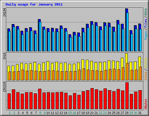 Daily usage for January 2011